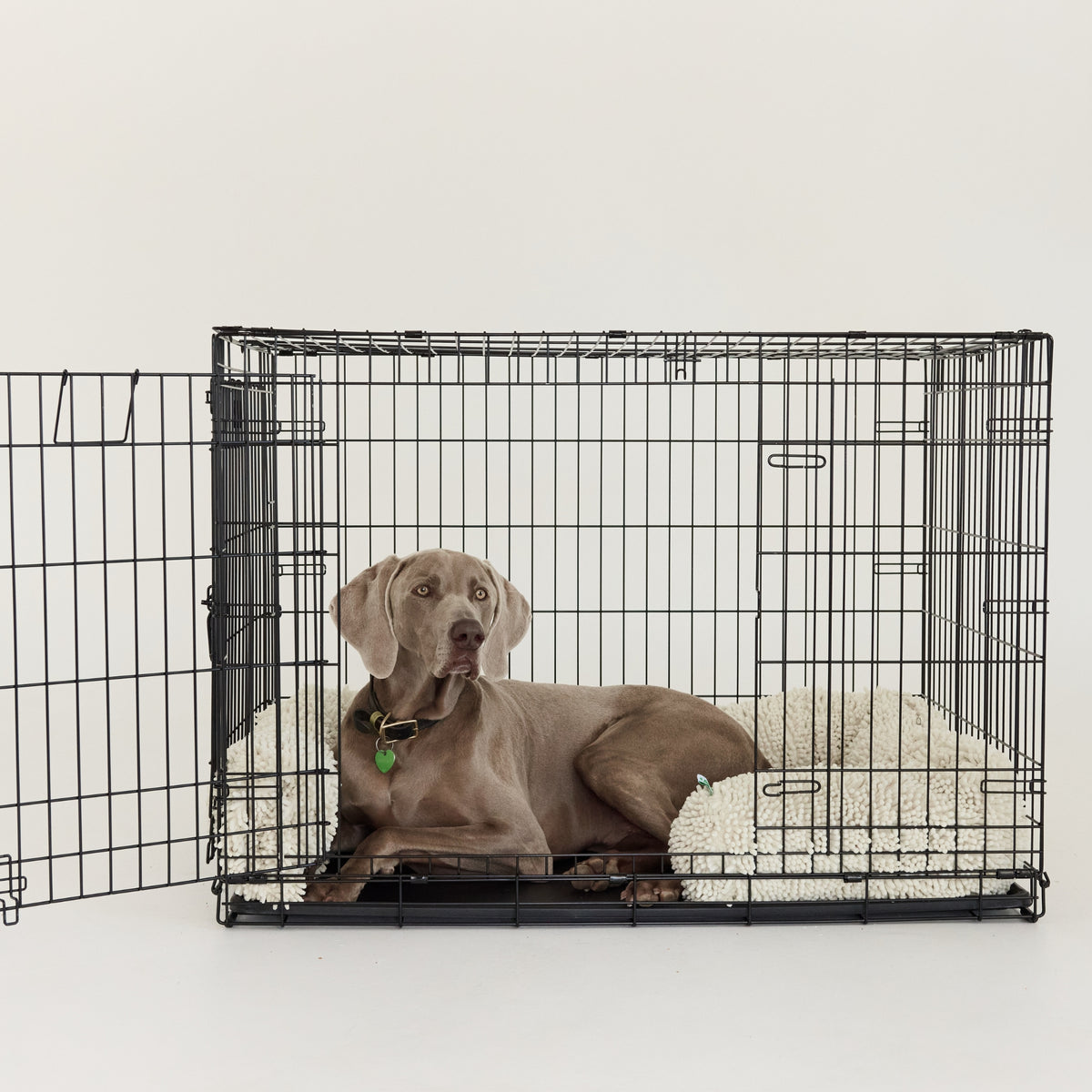 Hugo the dog lies inside an open black metal crate with a cream pet bed, photographed against a plain light gray studio background.